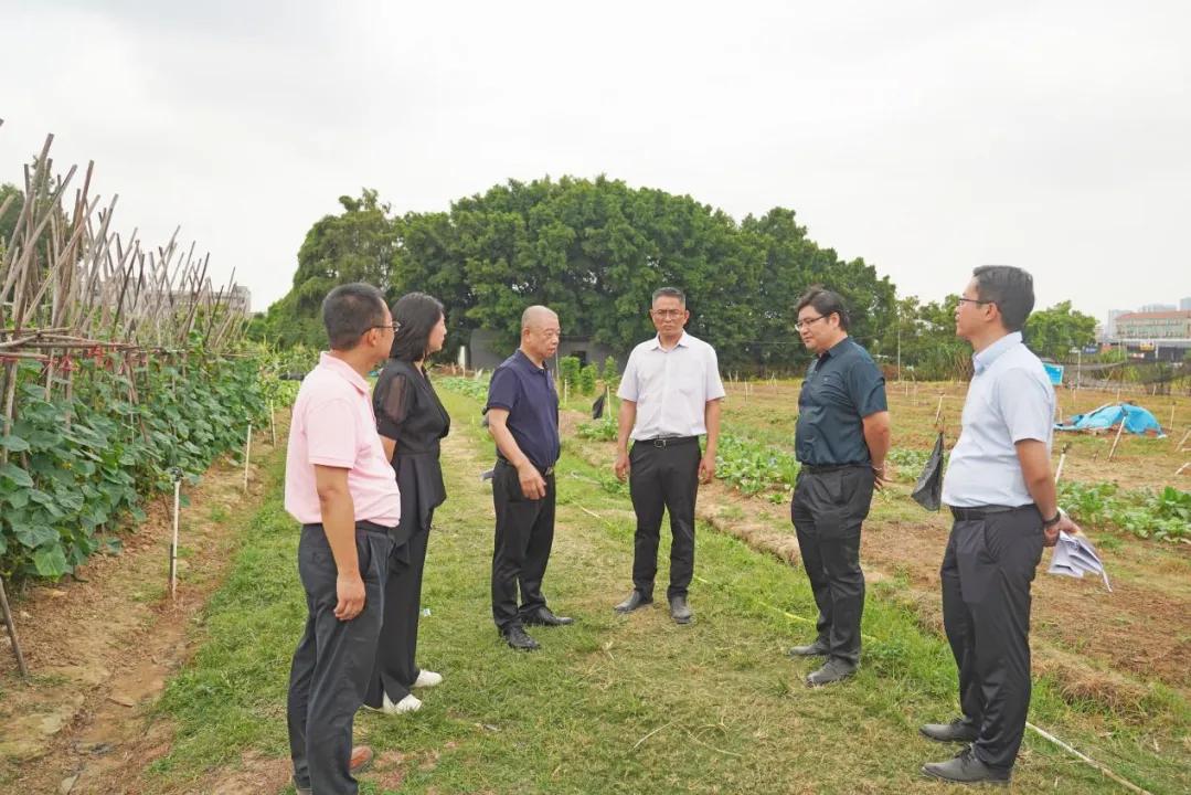 图片3 周溪半岛巡田现场（摄：南城融媒体中心）.jpg
